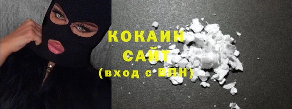 шишки Абаза