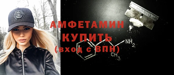 шишки Абаза