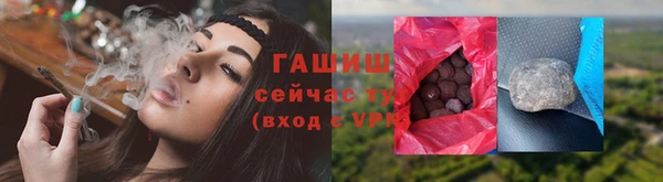 шишки Абаза