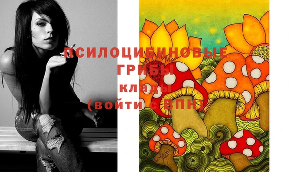 первитин Абинск
