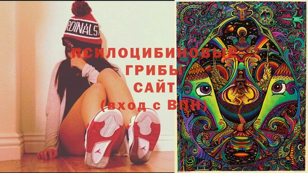 первитин Абинск