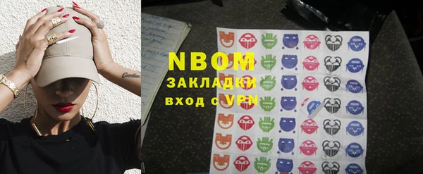 шишки Абаза