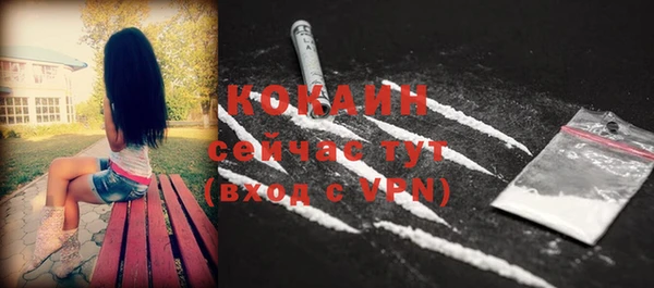 шишки Абаза
