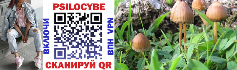 Галлюциногенные грибы Magic Shrooms  Черногорск 
