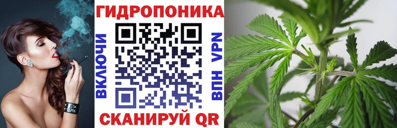 Бошки марихуана Ganja  Черногорск 